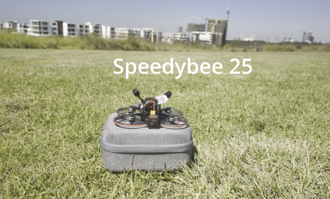 Weed Detection with Drones